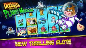 Big Wins story cards on bdt 60 for adult Bangladesh mobile readers